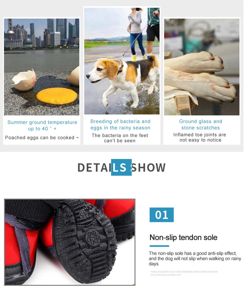 Shoes For Small Medium And Large Dogs Hiking Shoes