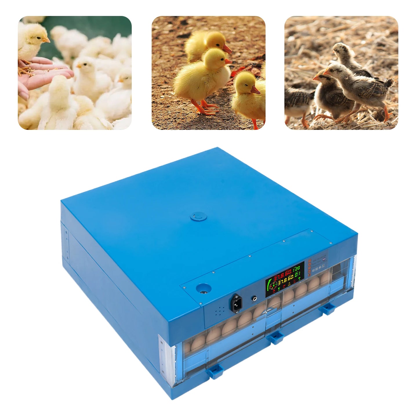 80W Thermostatic Incubator, Multi-Functional Farms Machine,Adjustable Humidity