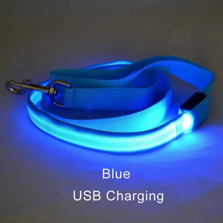 LED Light Up Flashing Leash For Safety