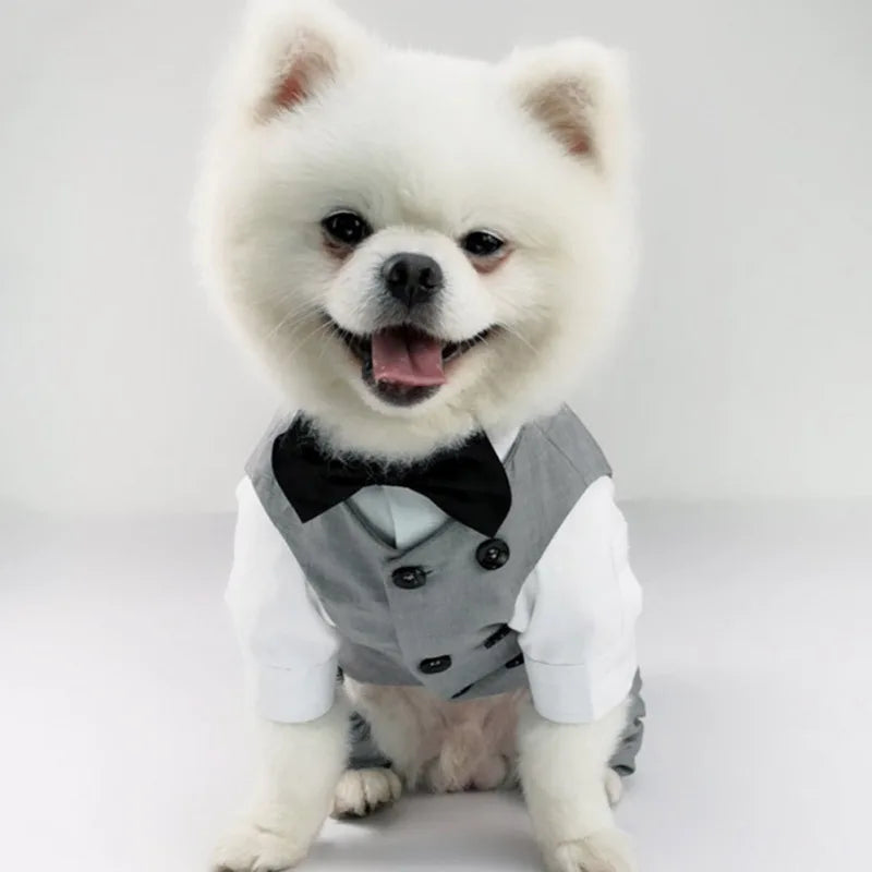 Dog Tuxedo Suit For Small Medium Breed Vest With Bow Tie
