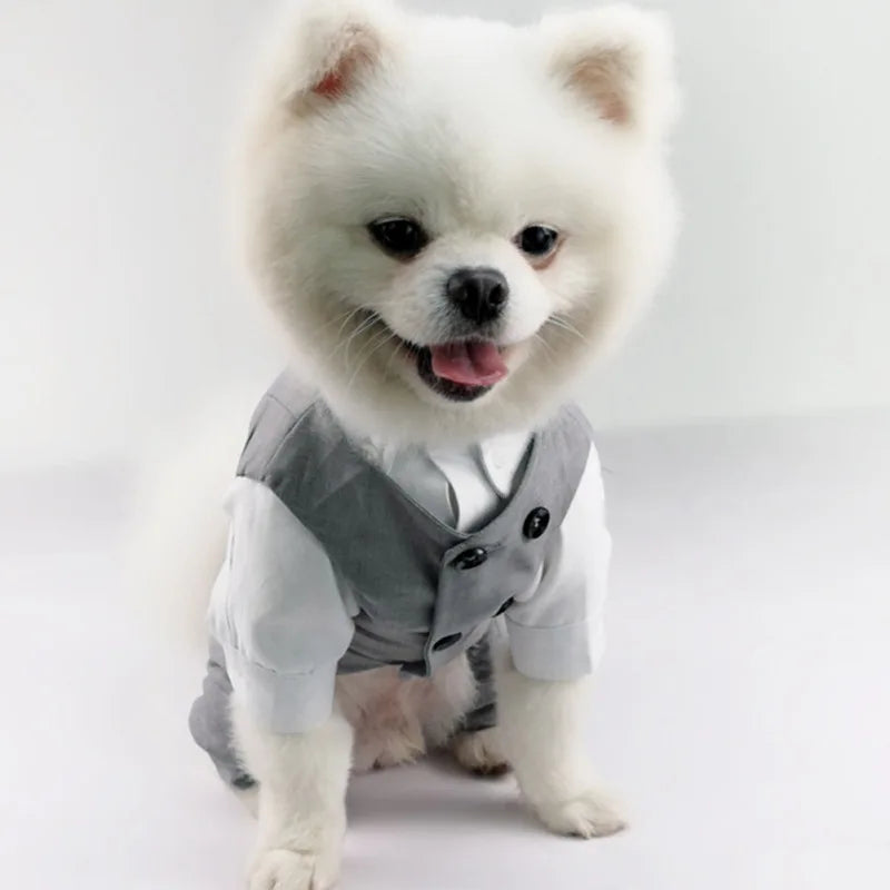 Dog Tuxedo Suit For Small Medium Breed Vest With Bow Tie