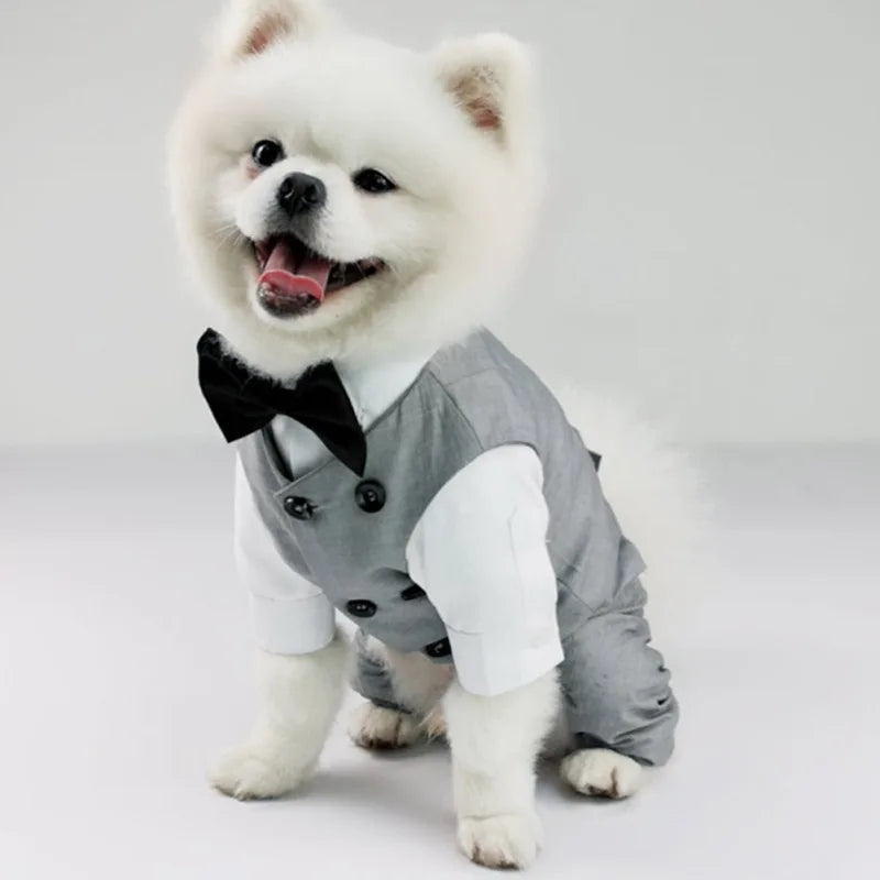 Dog Tuxedo Suit For Small Medium Breed Vest With Bow Tie