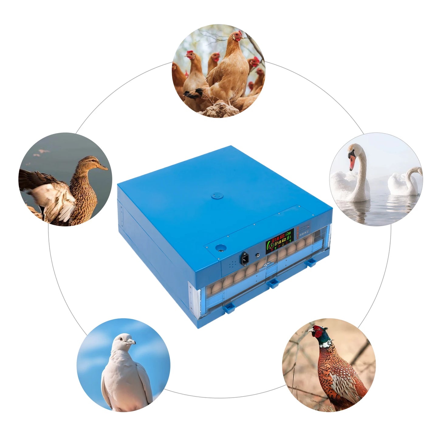 80W Thermostatic Incubator, Multi-Functional Farms Machine,Adjustable Humidity