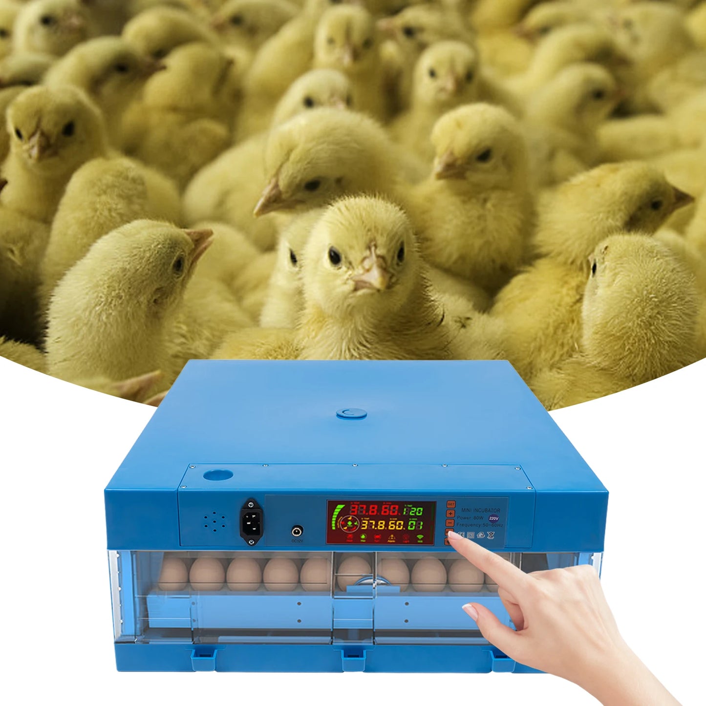 80W Thermostatic Incubator, Multi-Functional Farms Machine,Adjustable Humidity