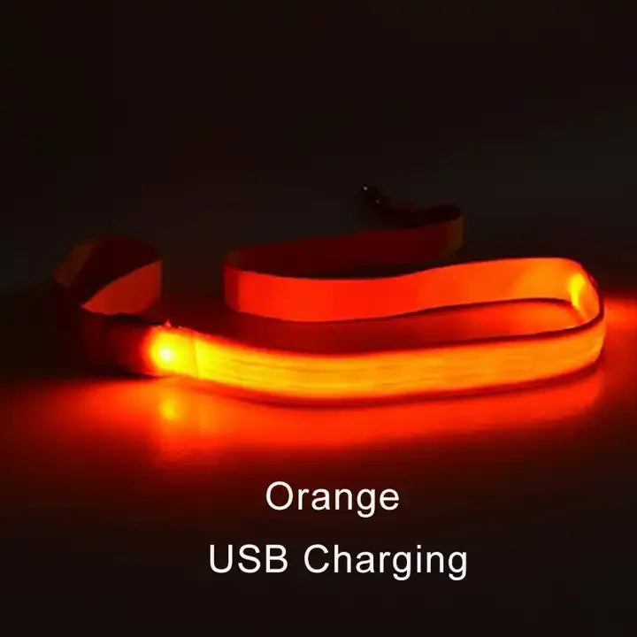 LED Light Up Flashing Leash For Safety