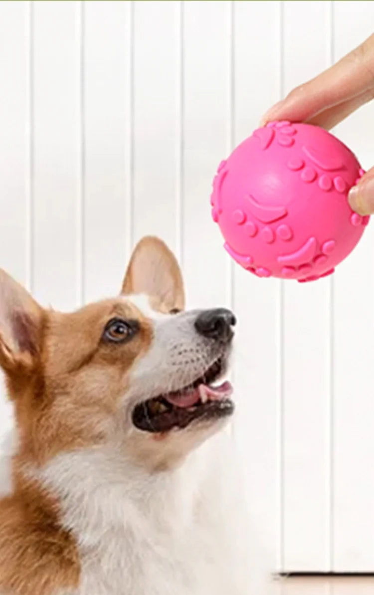 interactive Elastic Dog Training Ball
