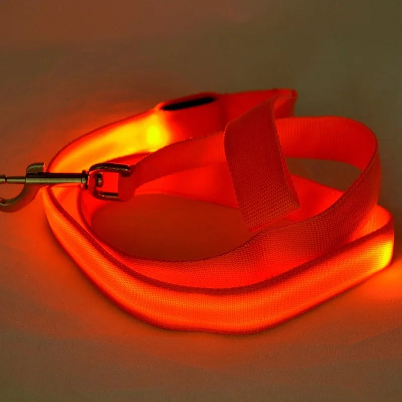 LED Light Up Flashing Leash For Safety