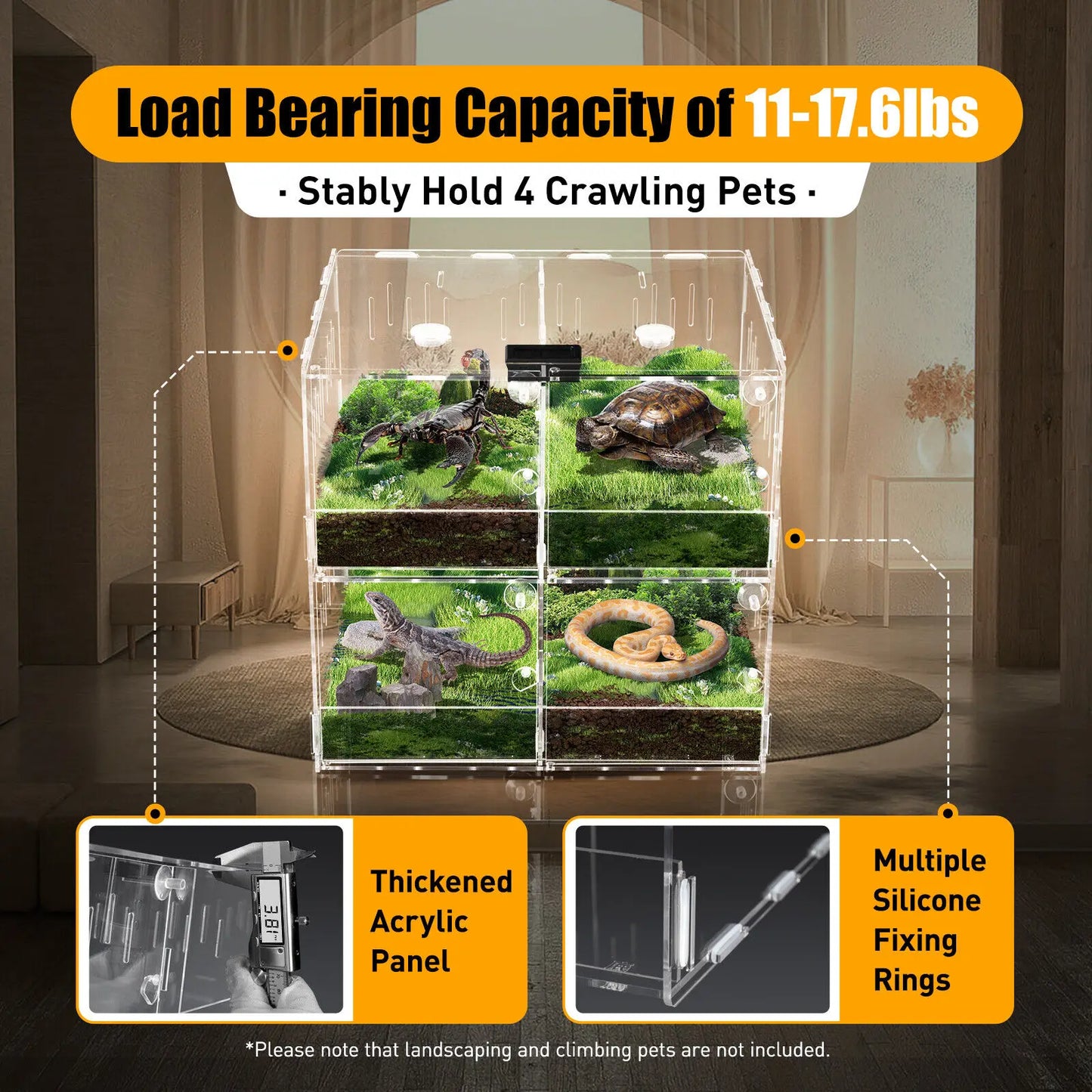 Clear 4 Grids Breeding Box Lizard Insect Climbing Spider Snake