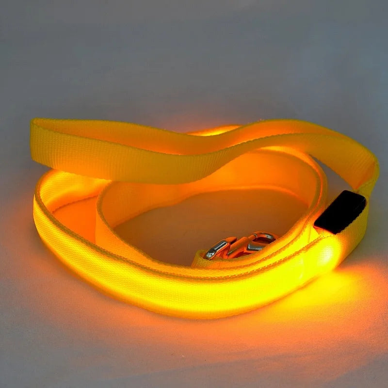 LED Light Up Flashing Leash For Safety
