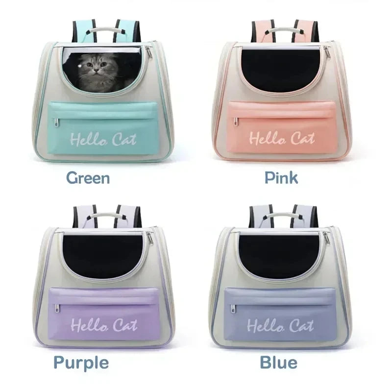 Windproof Outdoor Travel Backpack for Transport  With Cushion