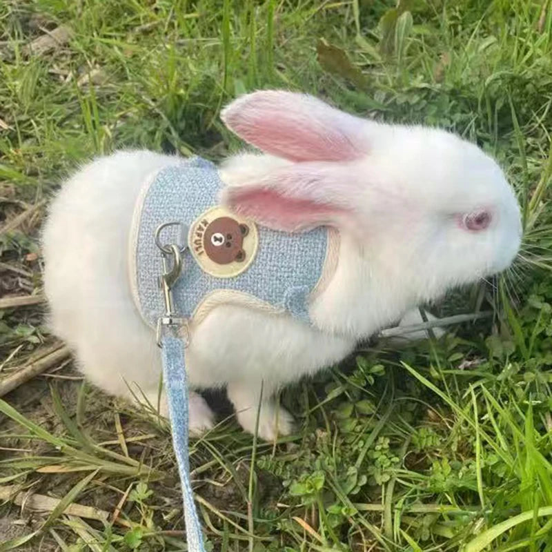 Newest Cute Rabbit Harness and Leash for walking