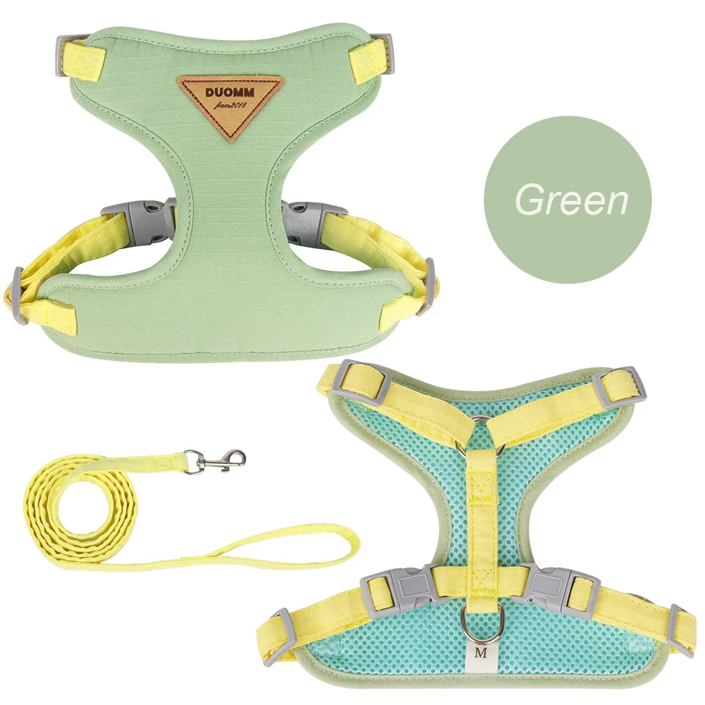 Cat or Puppy Outdoor Walking  Harness and Leash Kitten Harnesses