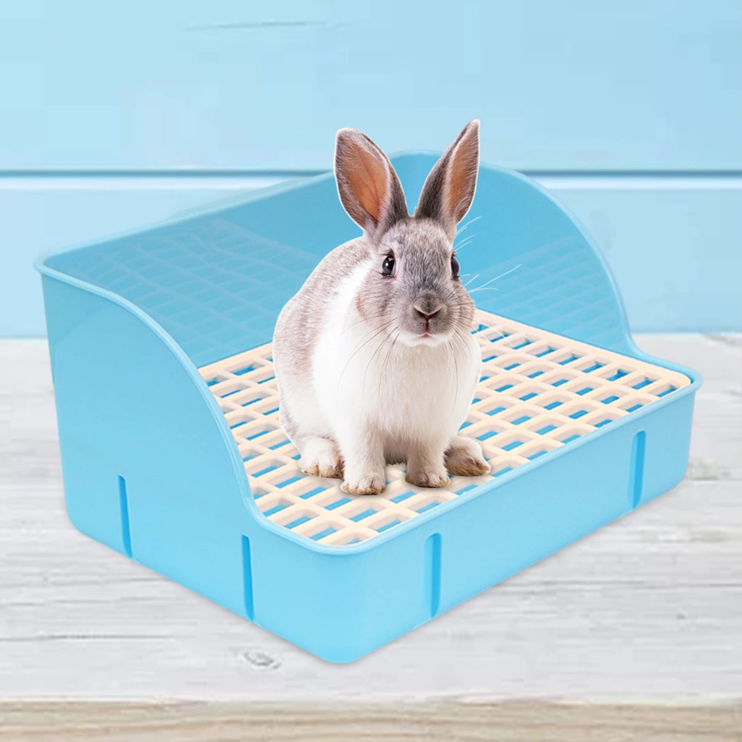 Rabbit Litter Box Trainer for Small Animals Chinchillas, Rats.