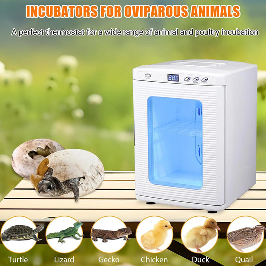 25 L Laboratory Incubator, Portable, Temperature Controlled 10°C-60°C,