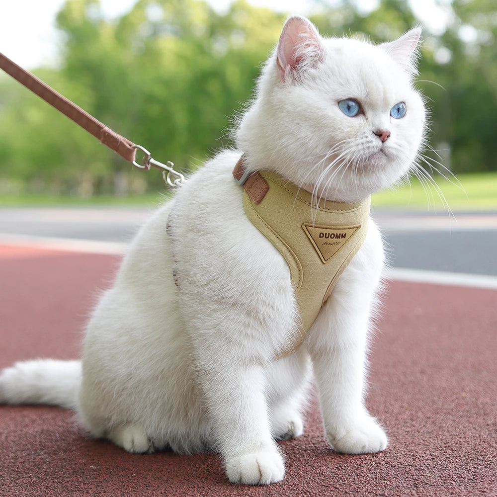Cat or Puppy Outdoor Walking  Harness and Leash Kitten Harnesses