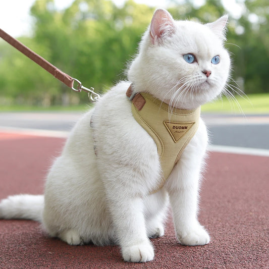 Cat or Puppy Outdoor Walking  Harness and Leash Kitten Harnesses