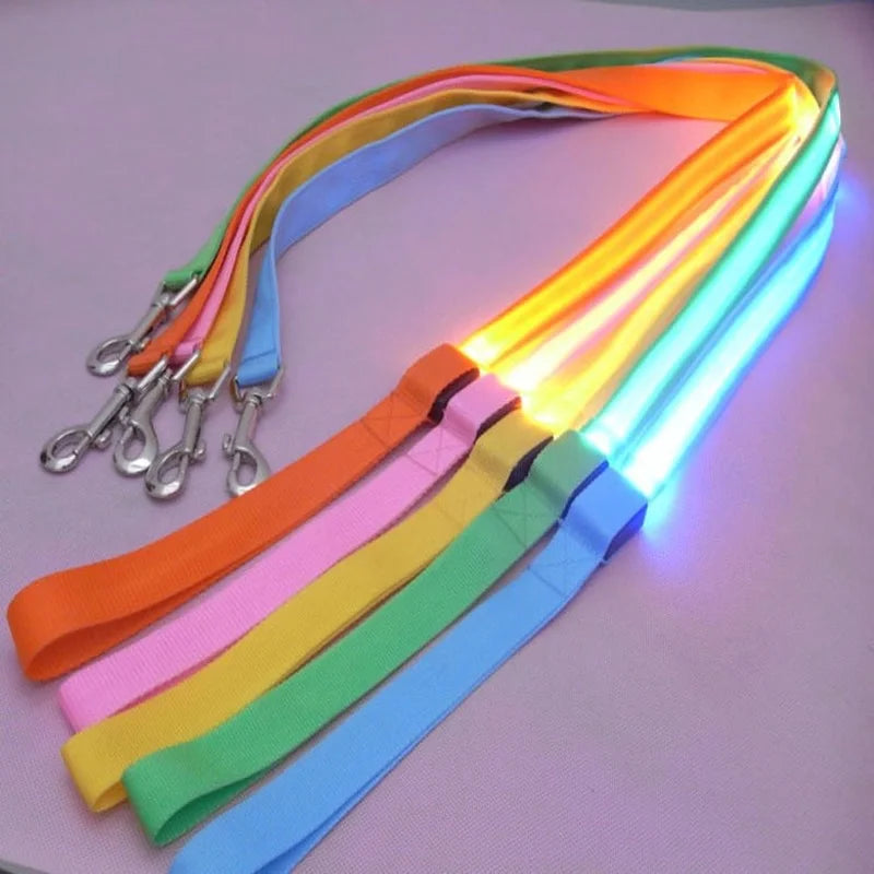 LED Light Up Flashing Leash For Safety