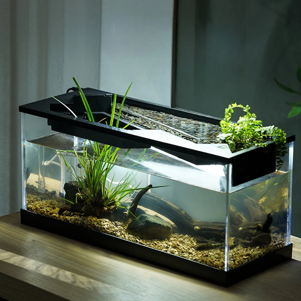 Aquarium With Built-in Light, Water Pump, Ecological Cycle System
