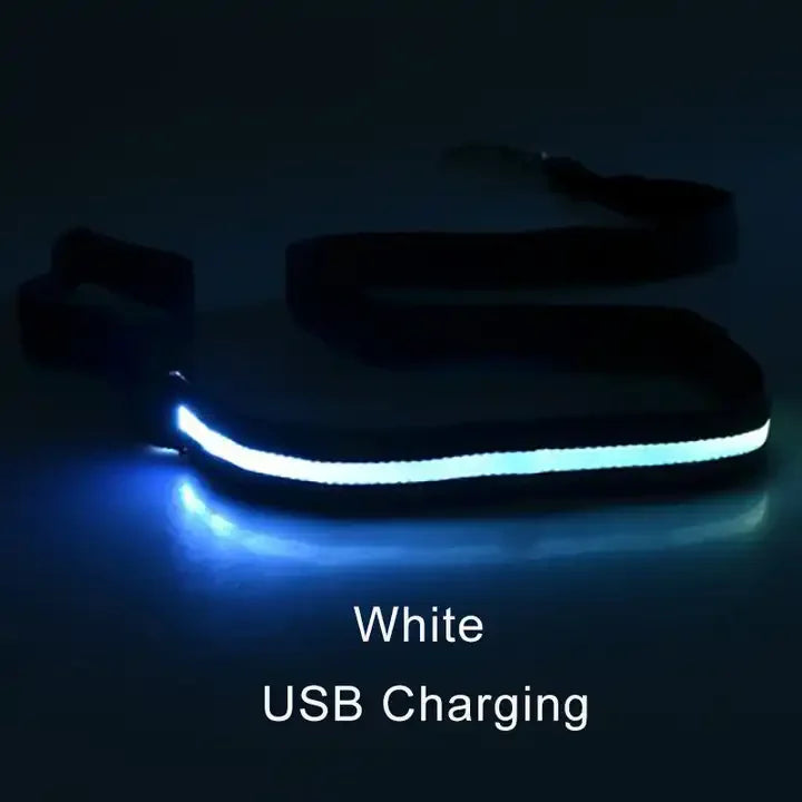 LED Light Up Flashing Leash For Safety