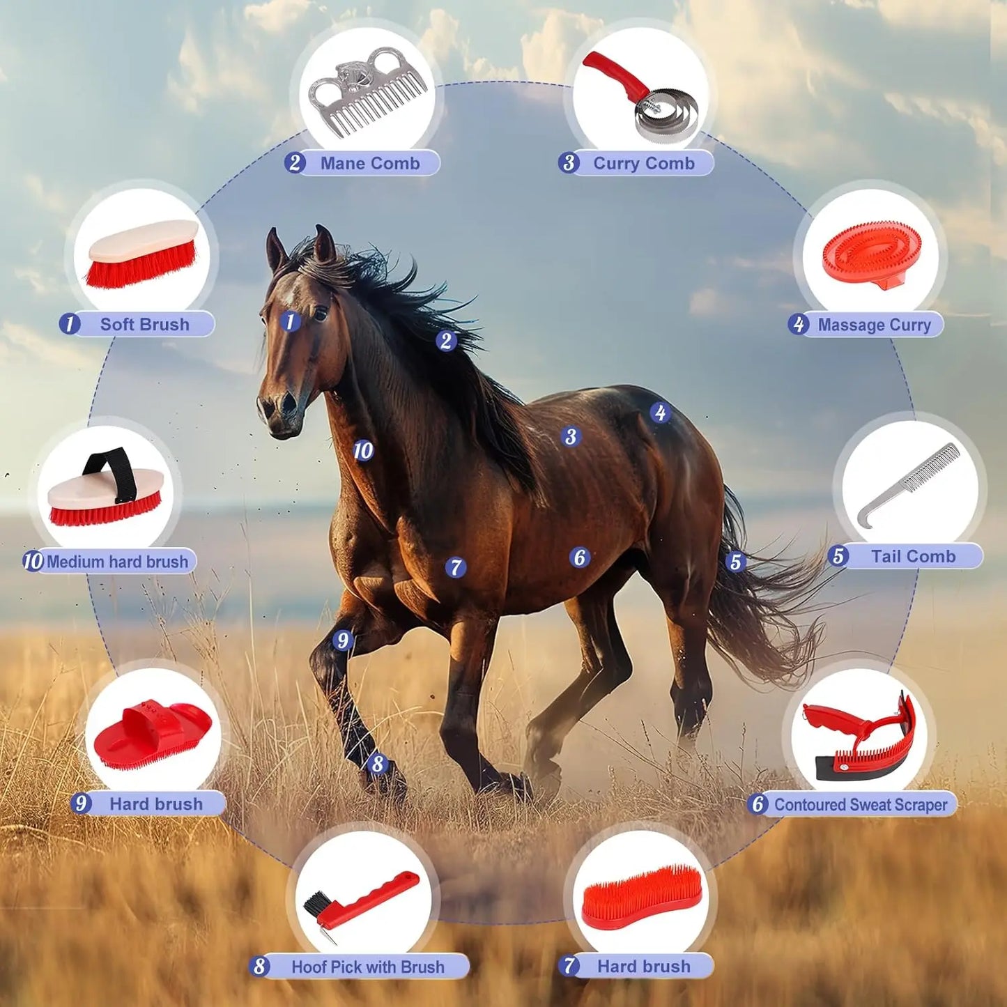 Horse Grooming Kit with Brushes,10 Pcs Horse Cleaning Tool Set with Tote Bag