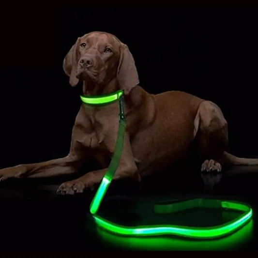 LED Light Up Flashing Leash For Safety