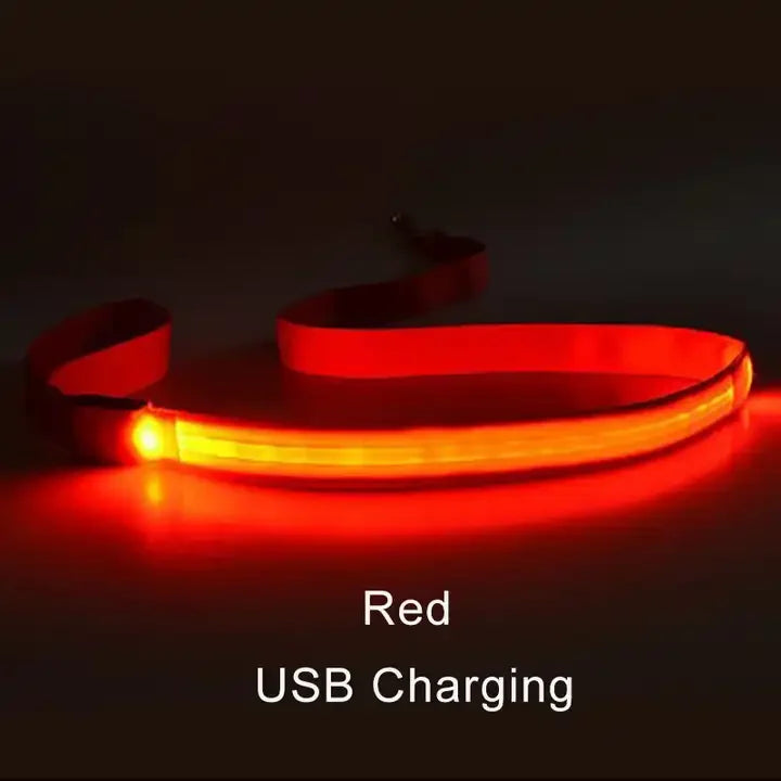 LED Light Up Flashing Leash For Safety