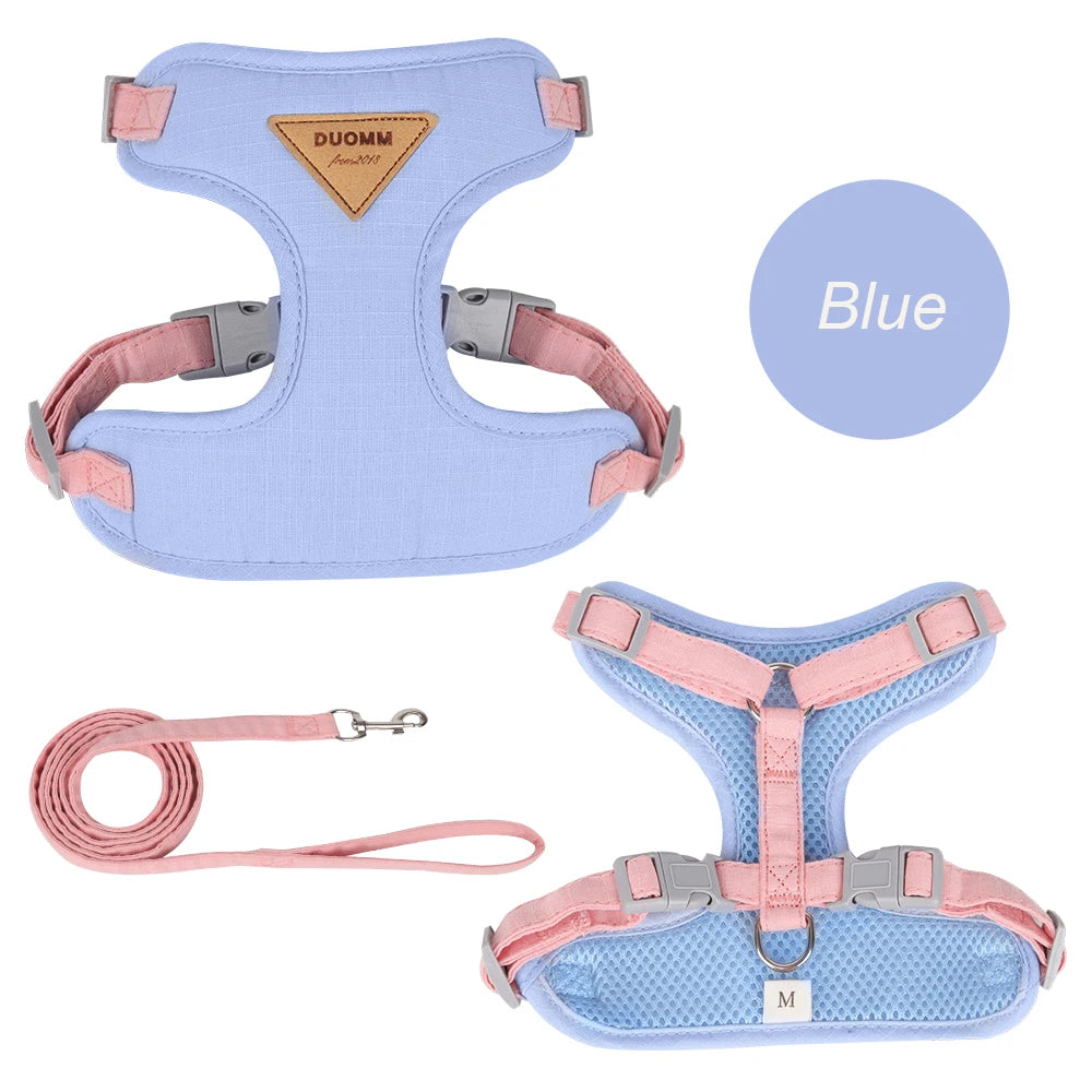 Cat or Puppy Outdoor Walking  Harness and Leash Kitten Harnesses