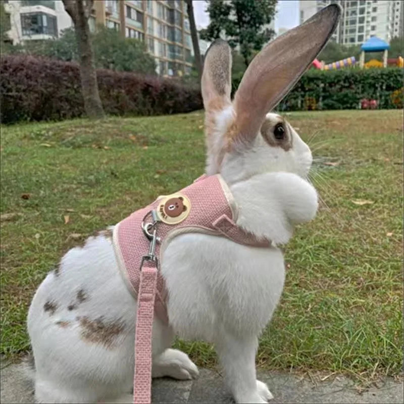 Newest Cute Rabbit Harness and Leash for walking
