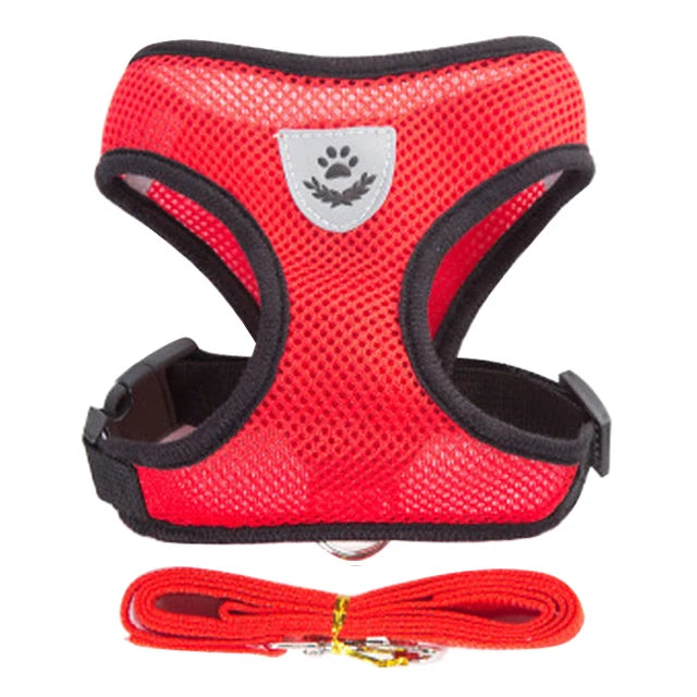 Adjustable Dog Harness for Small Dogs Cats Breakaway, Quick Release
