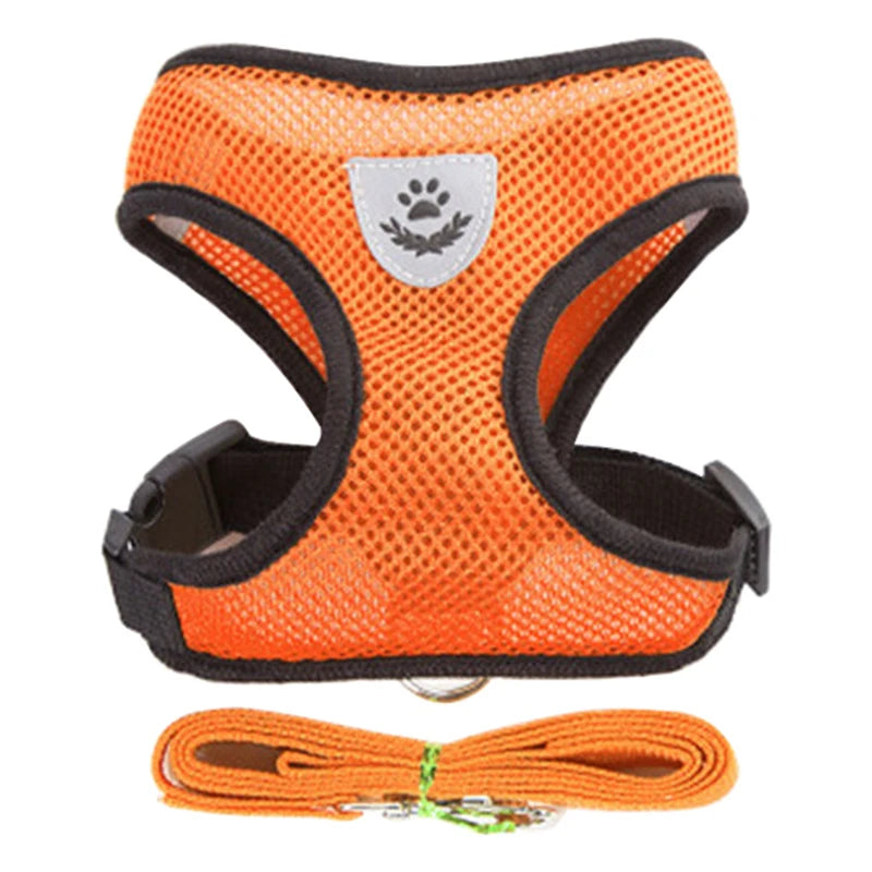 Adjustable Dog Harness for Small Dogs Cats Breakaway, Quick Release