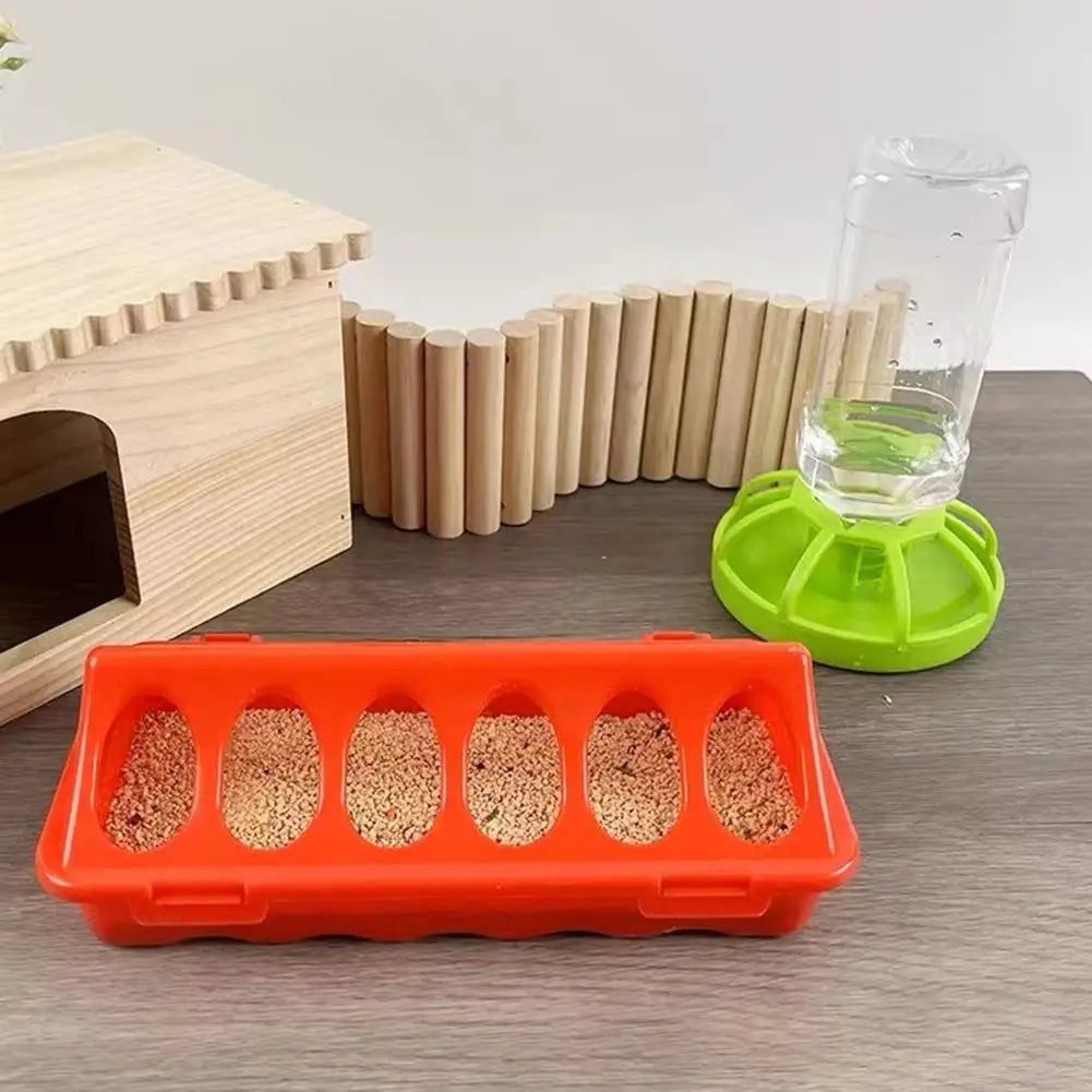 Poultry Thickened Feeder And Drinker