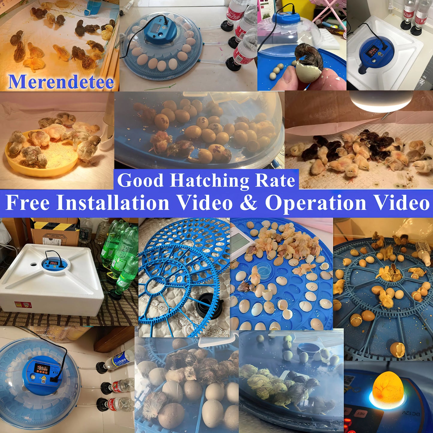 26-52 Incubator,Upgrade Automatic Water for hatching eggs