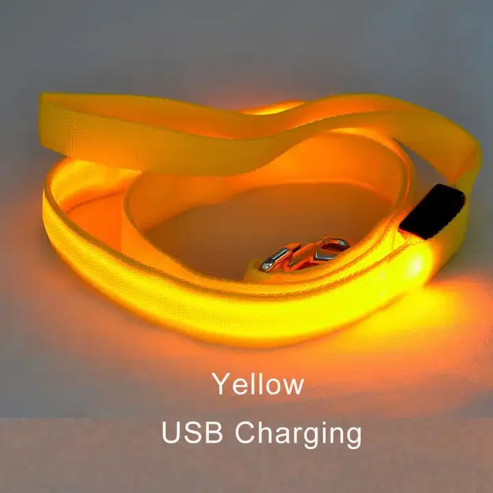 LED Light Up Flashing Leash For Safety