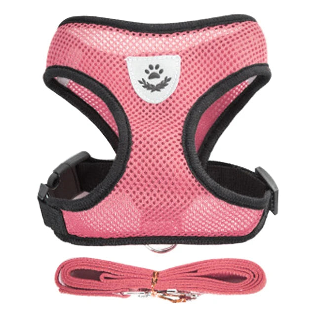 Adjustable Dog Harness for Small Dogs Cats Breakaway, Quick Release