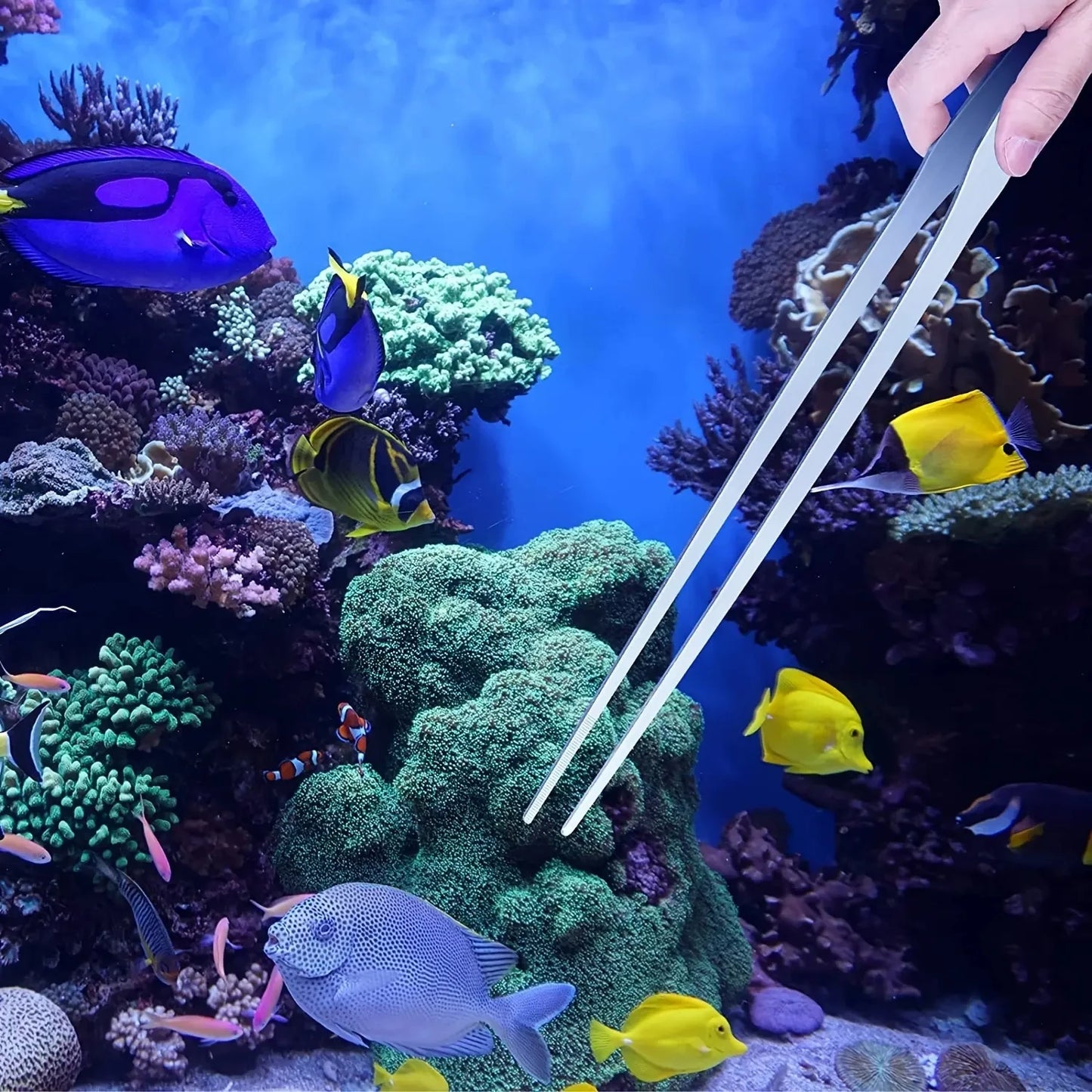 38cm Aquarium Tweezers, Plant , Straight Curved, Feeding Tongs