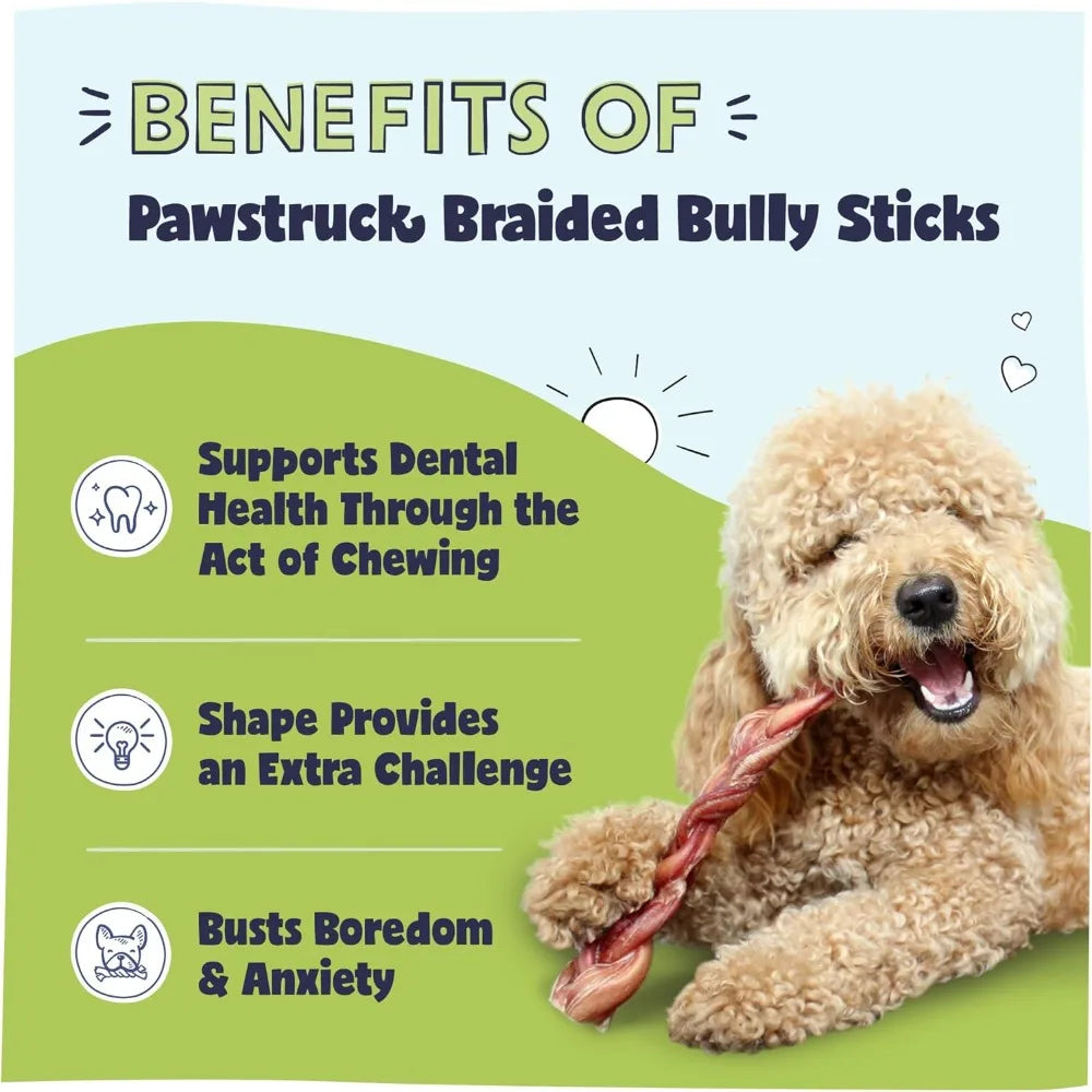 Natural 12" Braided Bully Sticks Rawhide-Free, Single Ingredient Treat