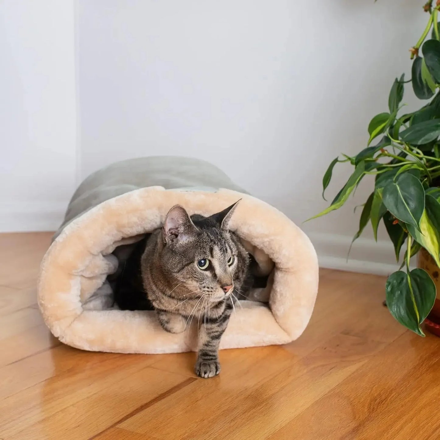 Puppy, Cats Dogs Cushions Houses and Habitats Basket Bed