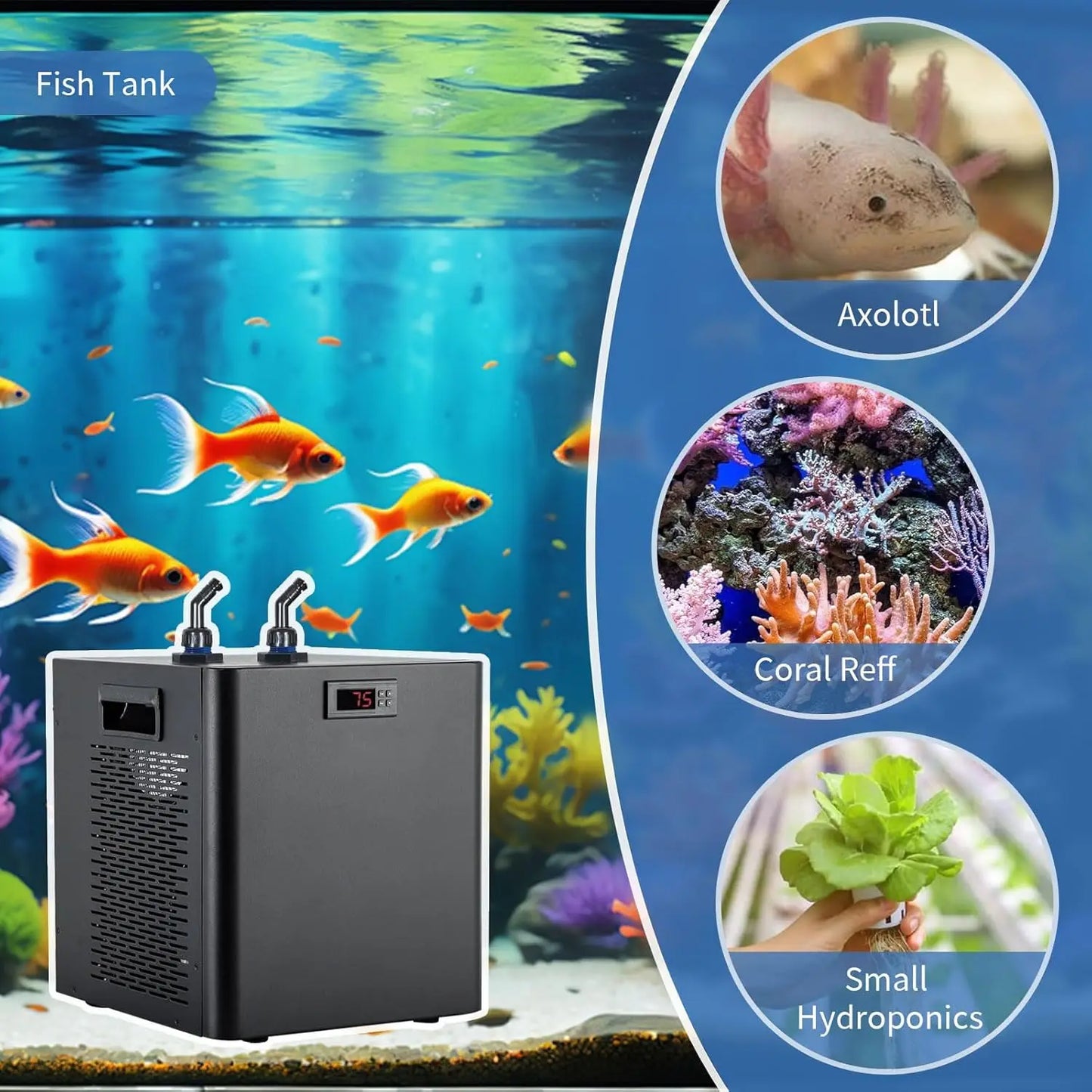 79 Gallon 1/3HP Aquarium Chiller - Energy Efficient, Axolotl, Freshwater & Saltwater