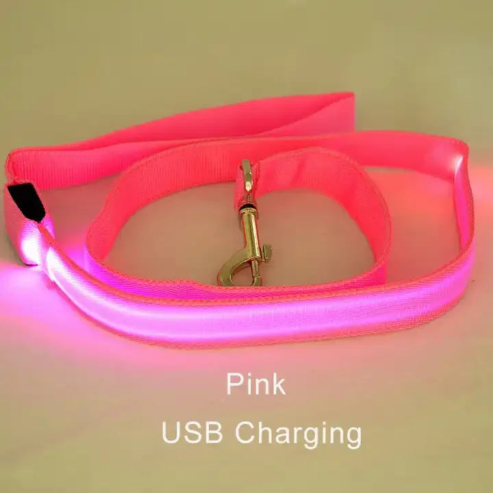 LED Light Up Flashing Leash For Safety