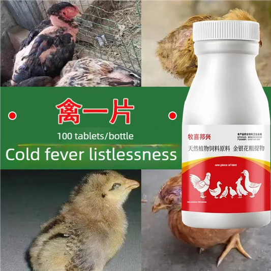 Plague and cold, take one piece in the morning and evening