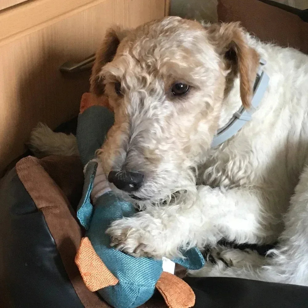 Interactive Squeaky Wild Goose, Teeth Cleaning Puppy Chew  Toys