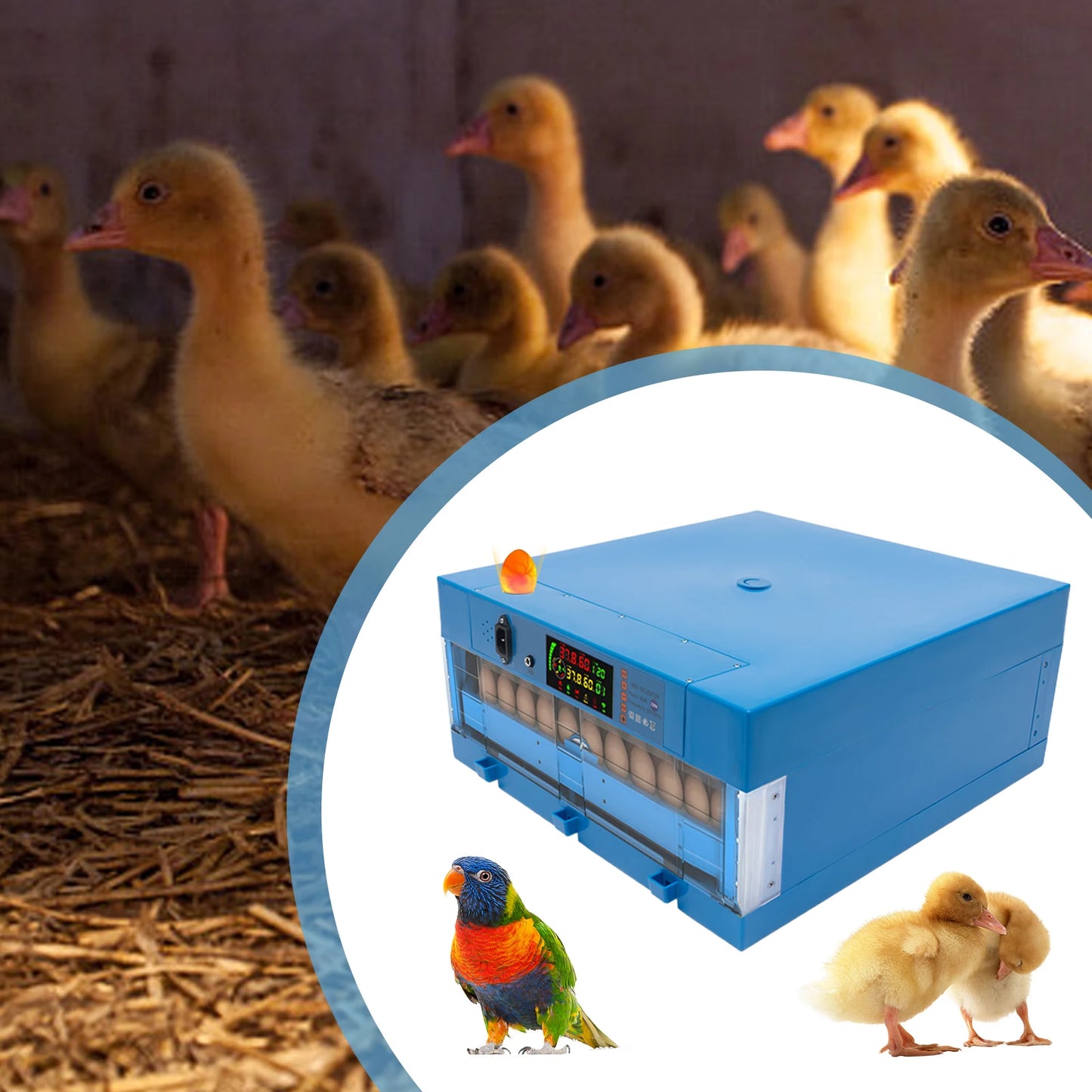 80W Thermostatic Incubator, Multi-Functional Farms Machine,Adjustable Humidity