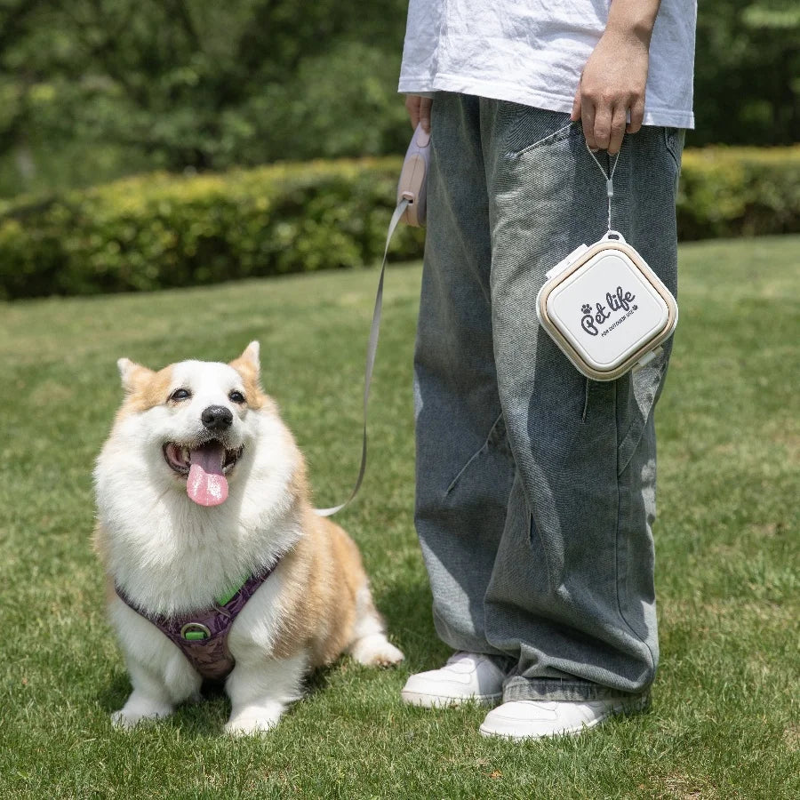 Portable Folding Pet Bowls - Outdoor Dog Feeder for Travel