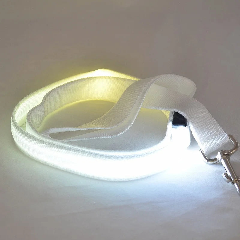 LED Light Up Flashing Leash For Safety
