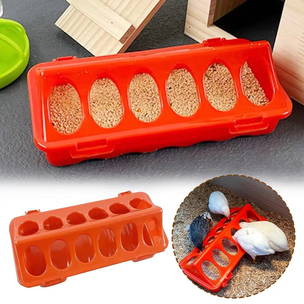 Poultry Thickened Feeder And Drinker