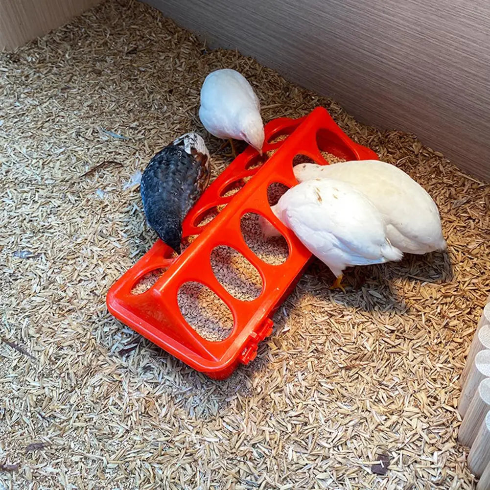 Poultry Thickened Feeder And Drinker