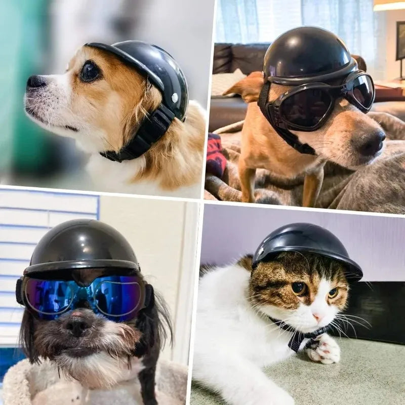 Motorcycle Bike Hard Helmet, Goggle Sunglasses for Dogs - Cats,