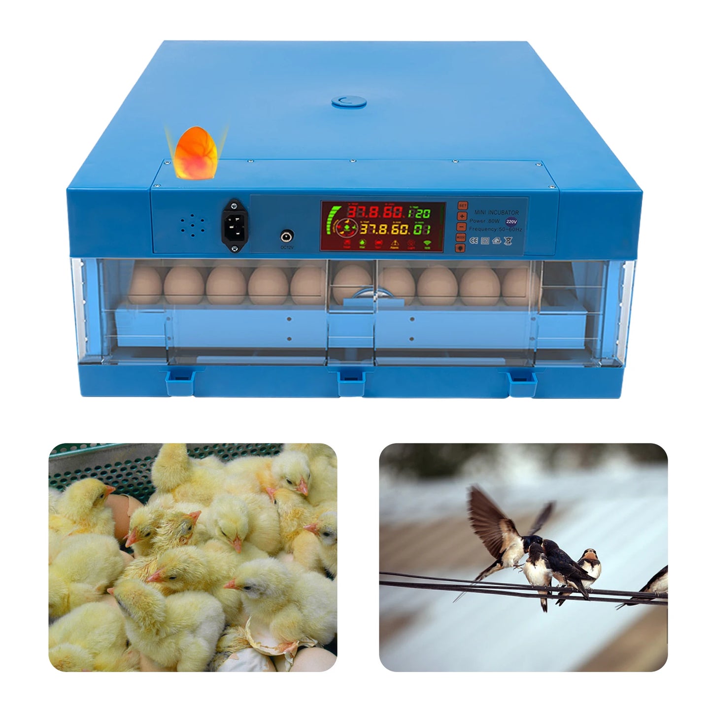 80W Thermostatic Incubator, Multi-Functional Farms Machine,Adjustable Humidity