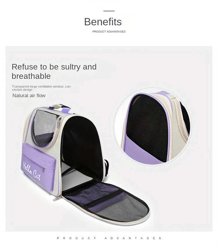 Windproof Outdoor Travel Backpack for Transport  With Cushion