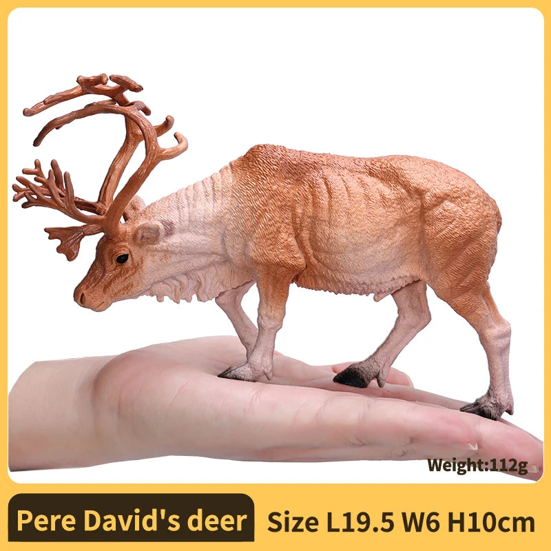 Zoo World Farm Animal Educational Kids Toy Gift